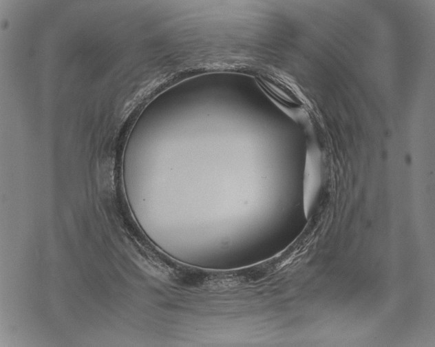 X0000071810299200607141617