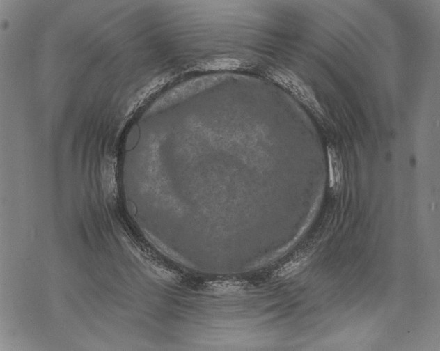 X0000071810300200607141617