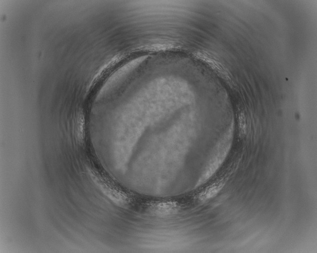 X0000071810304200607141617