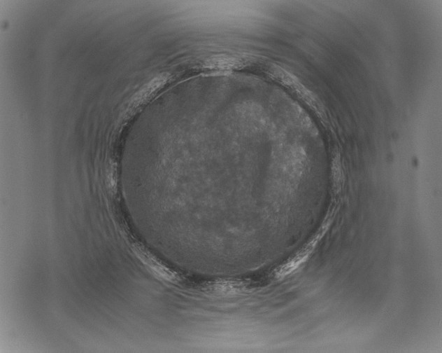 X0000071810305200607141617