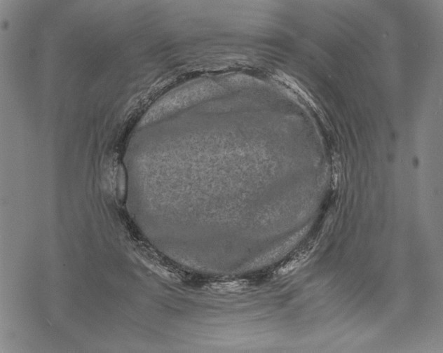 X0000071810307200607141617