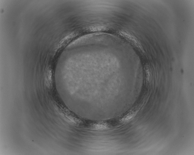 X0000071810308200607141617