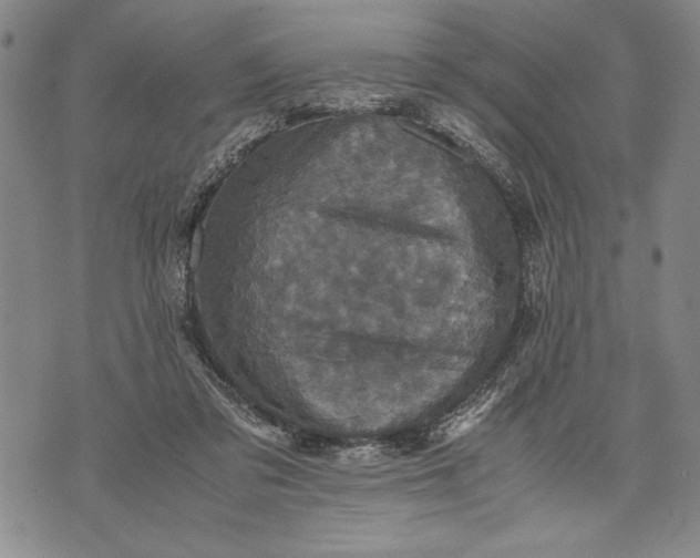 X0000071810309200607141617