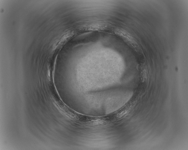 X0000071810310200607141617