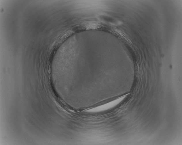 X0000071810311200607141617