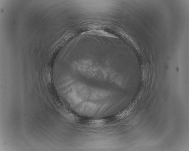 X0000071810313200607141617