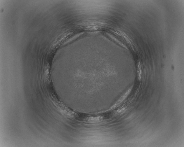 X0000071810314200607141617