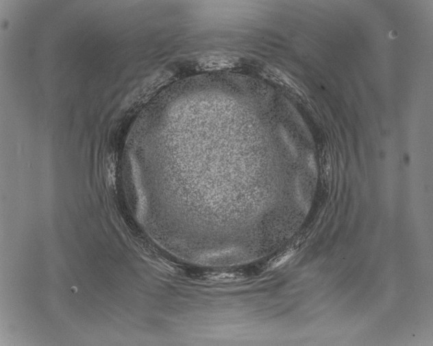 X0000071810315200607141617