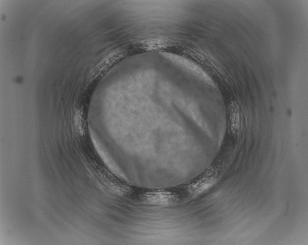 X0000071810316200607141617