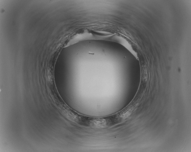 X0000071810317200607141617