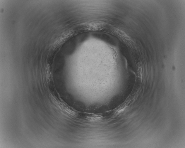 X0000071810318200607141617