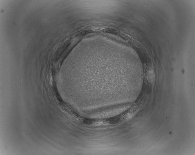 X0000071810319200607141617