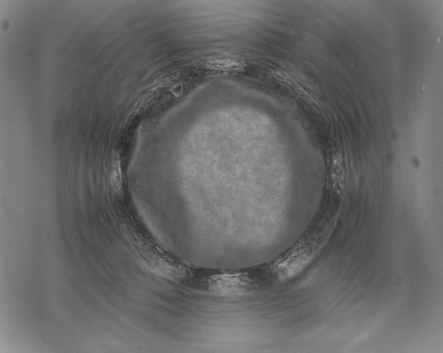 X0000071810320200607141617