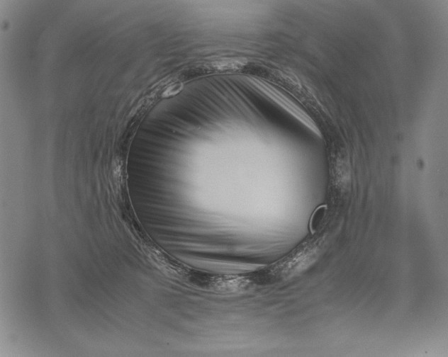 X0000071810321200607141617