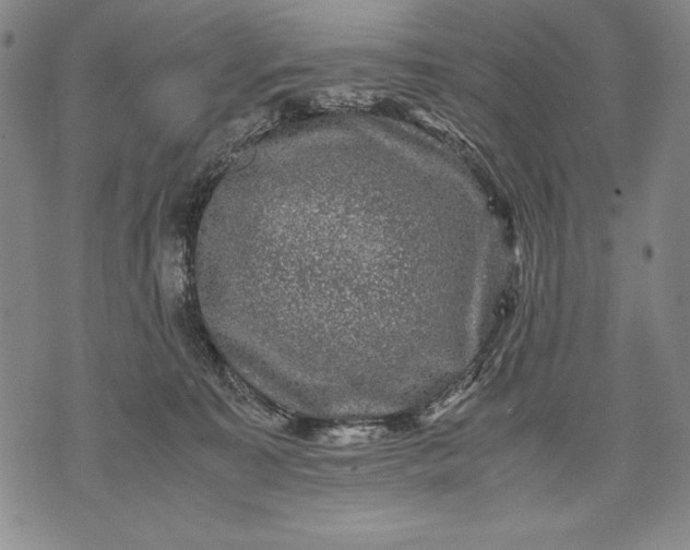 X0000071810323200607141617