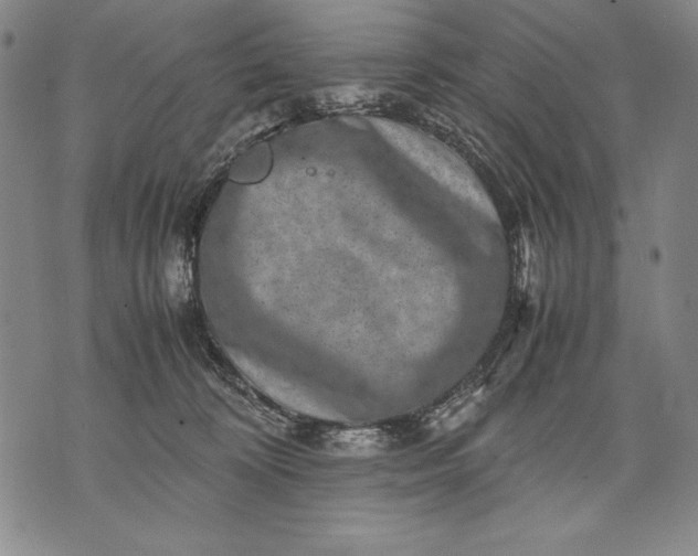 X0000071810324200607141617