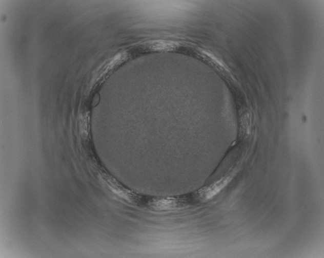 X0000071810325200607141617