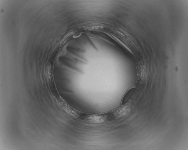 X0000071810326200607141617