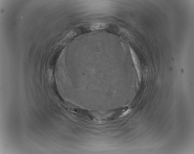 X0000071810327200607141617