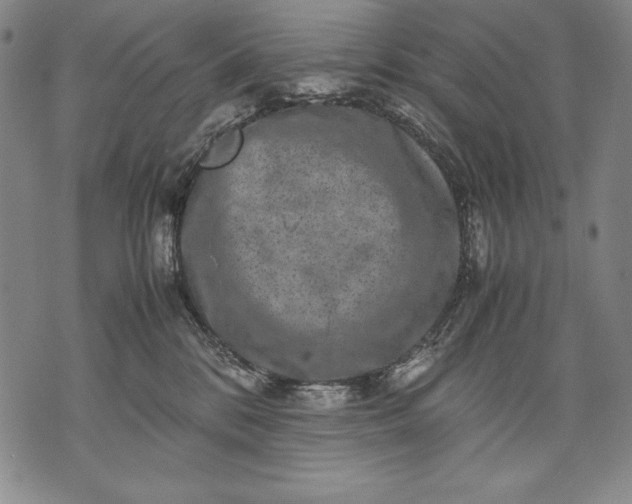 X0000071810328200607141617