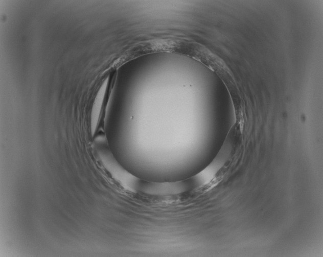 X0000071810329200607141617