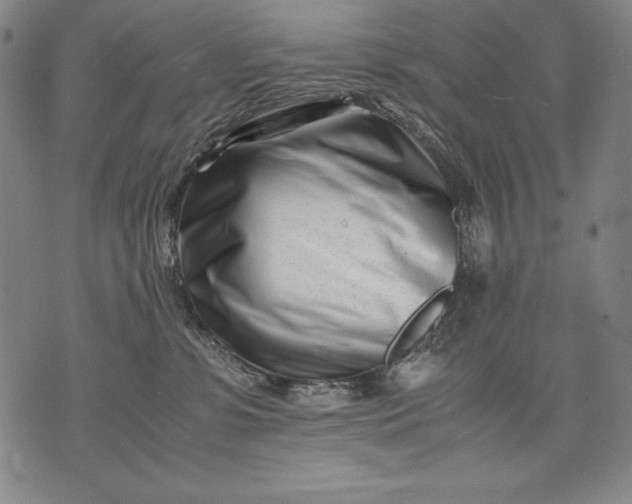 X0000071810331200607141616