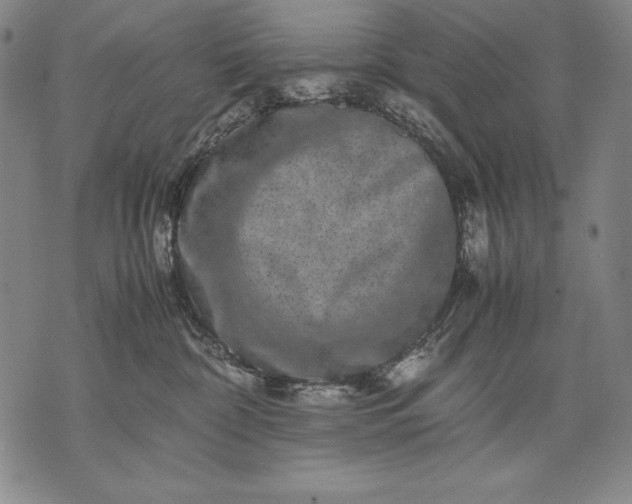 X0000071810332200607141616