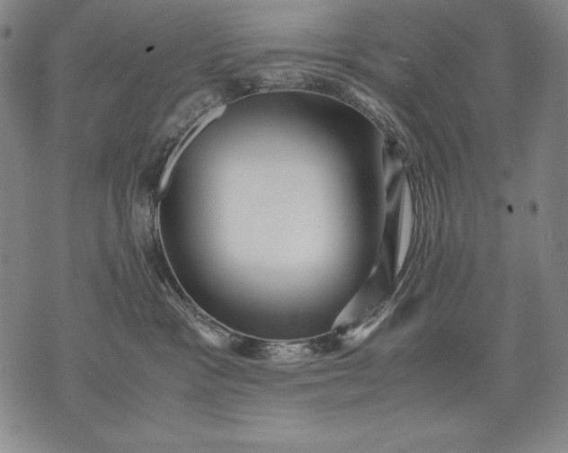 X0000071810333200607141616