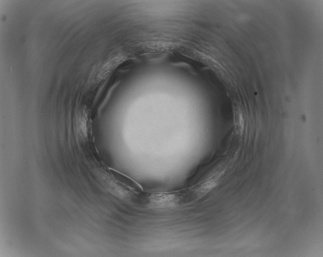 X0000071810334200607141616