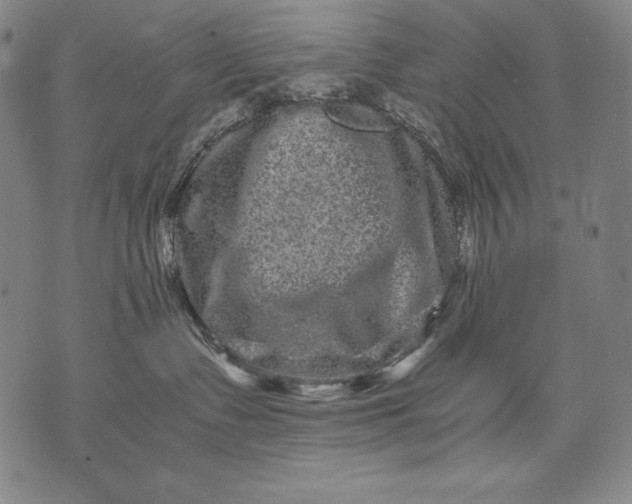 X0000071810335200607141616