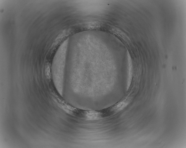 X0000071810336200607141616