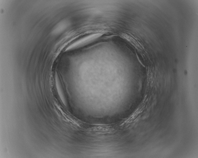 X0000071810338200607141616