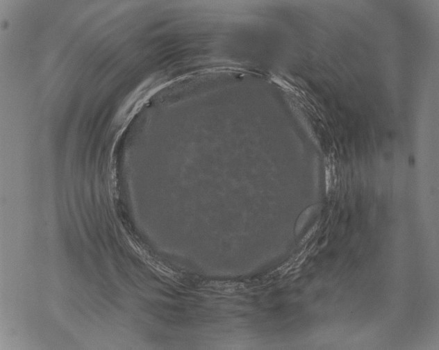 X0000071810339200607141616