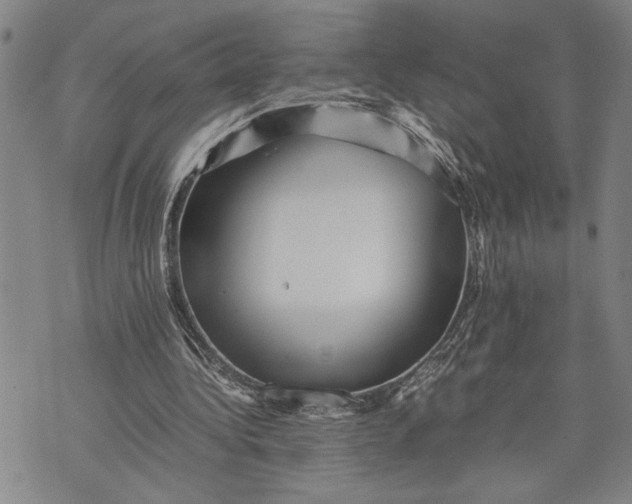 X0000071810340200607141616