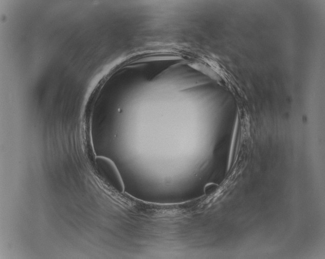 X0000071810342200607141616