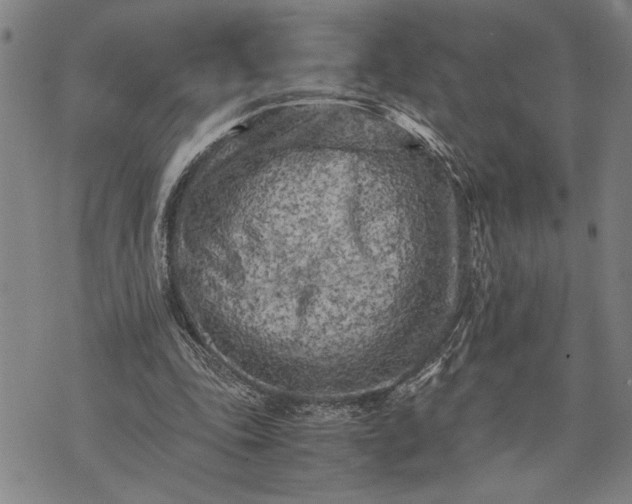 X0000071810343200607141616