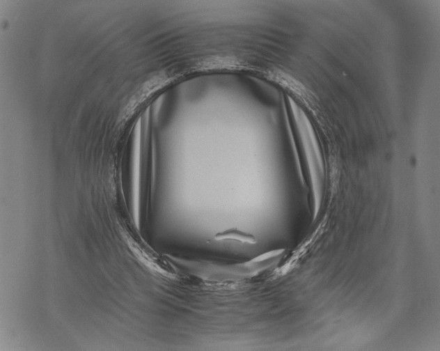 X0000071810345200607141616