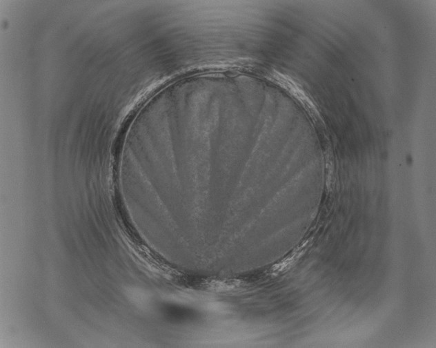 X0000071810346200607141616