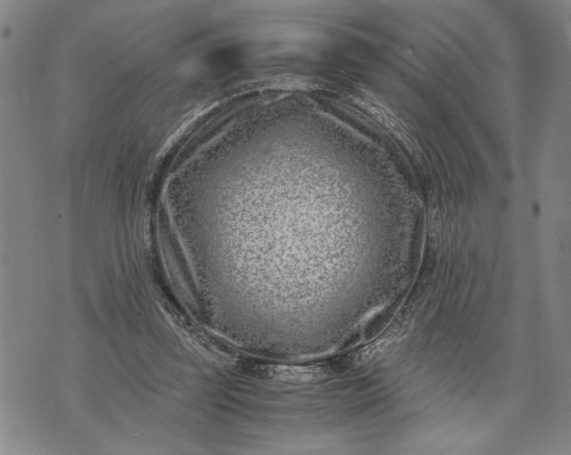 X0000071810347200607141616