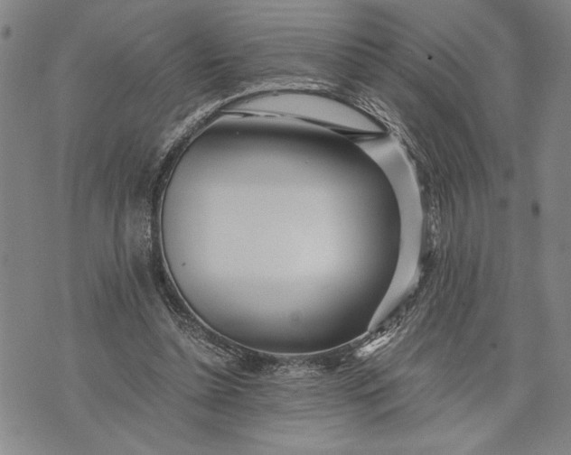 X0000071810348200607141616