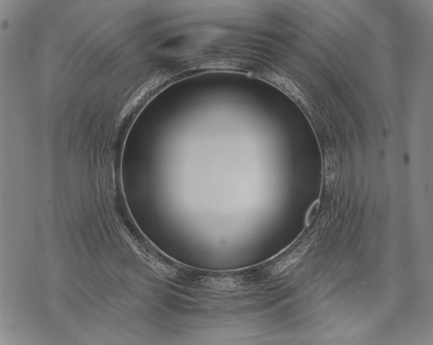 X0000071810349200607141616