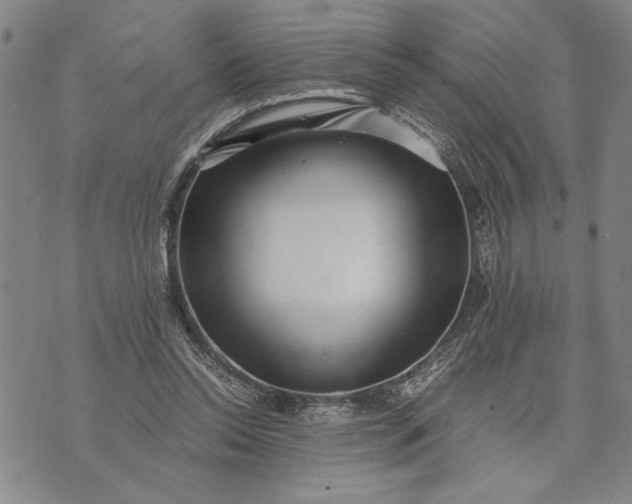 X0000071810350200607141616