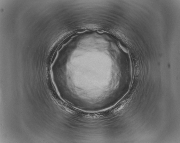 X0000071810351200607141616