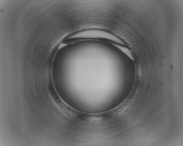 X0000071810352200607141616