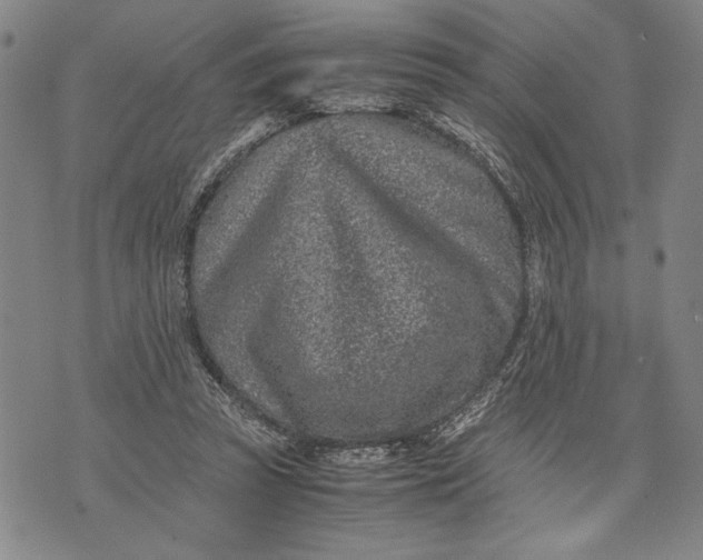 X0000071810353200607141616