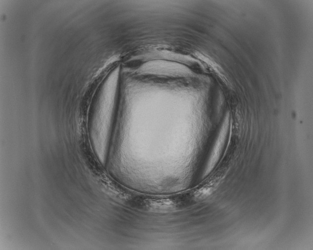 X0000071810355200607141616