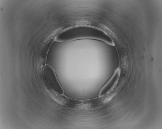 X0000071810356200607141616