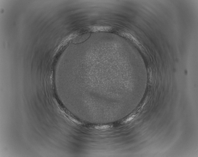 X0000071810357200607141616