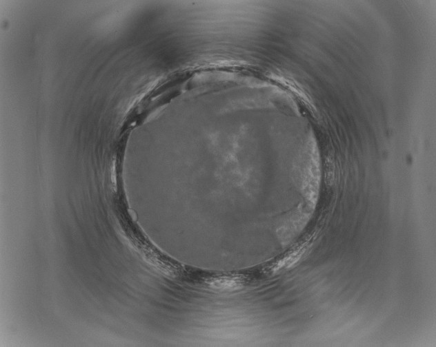 X0000071810358200607141616