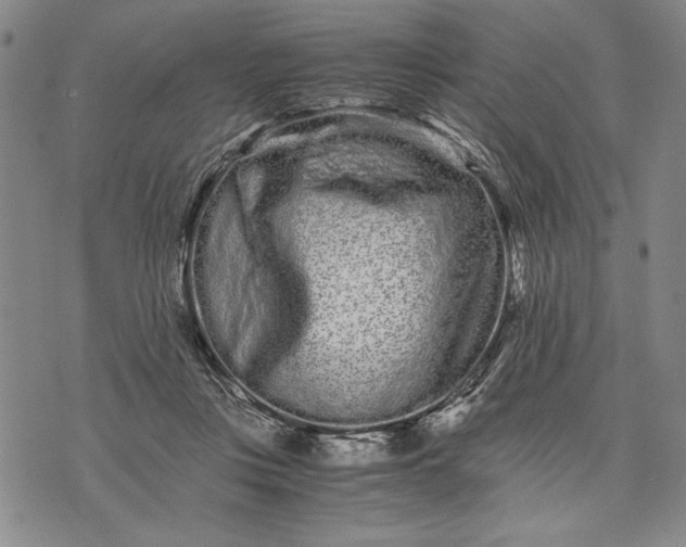 X0000071810359200607141616